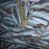 крымская рыба и морепродукты оптом керчь в Керчи 2