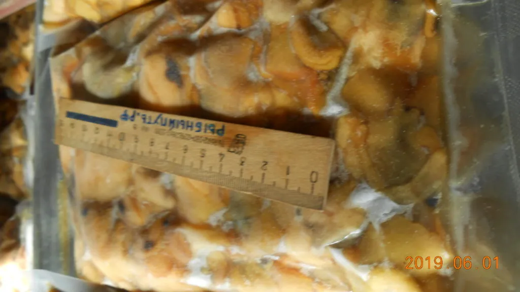крымское мясо моллюска рапана  в Керчи 6