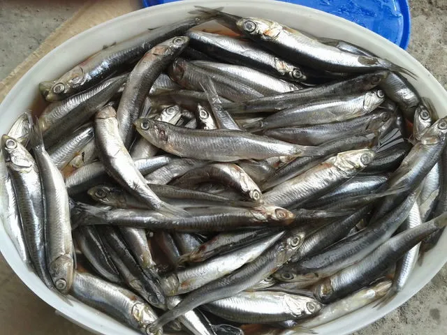 свежая рыба с доставкой. в Белогорске