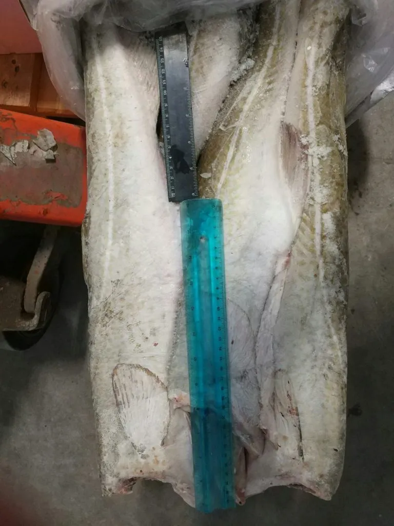 северную рыбу  заморозка в Симферополе 4