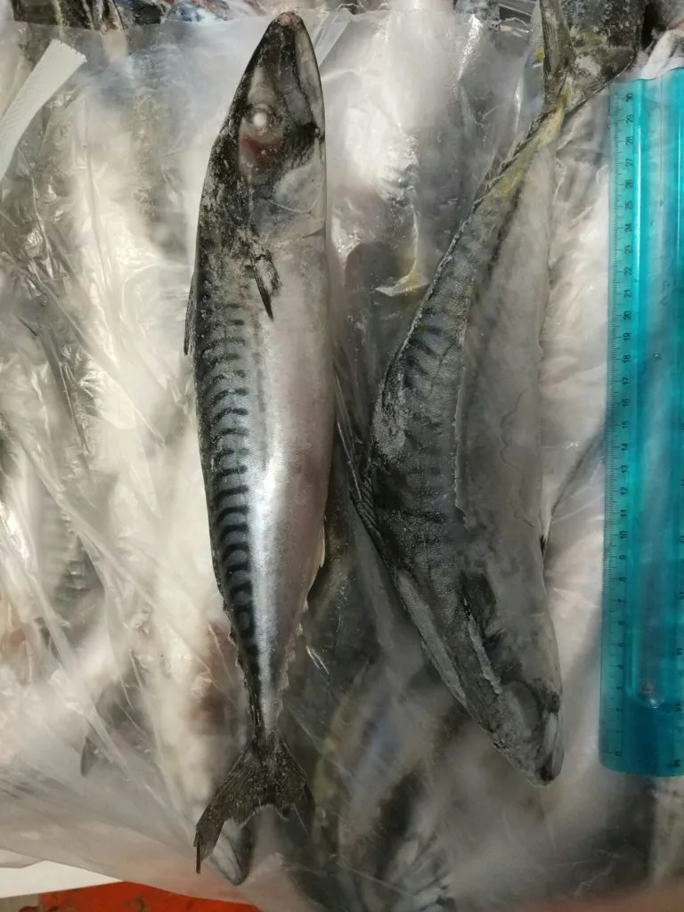 фотография продукта Северную рыбу  заморозка