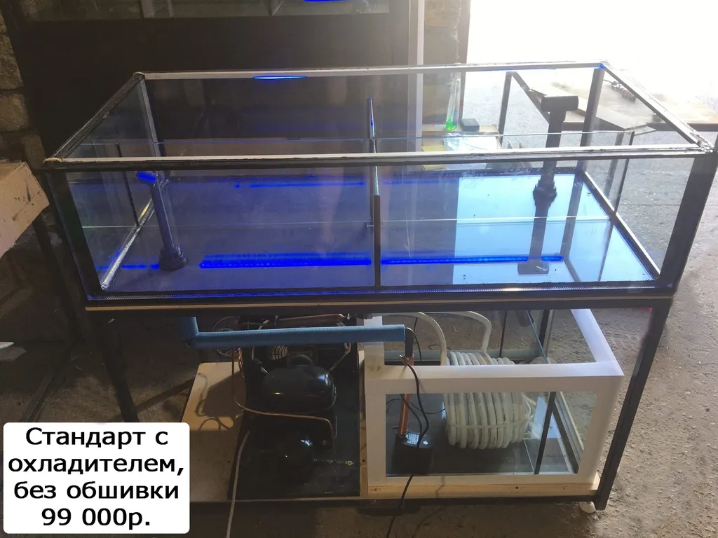 аквариум для устриц, морепродуктов, рак в Симферополе 2