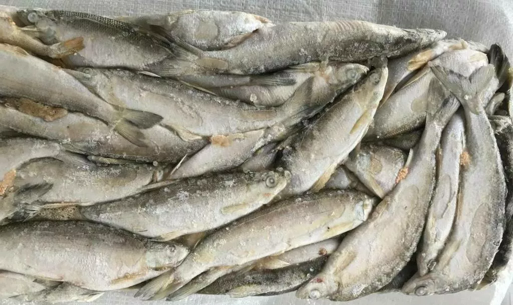 Фотография продукта Сибирская рыба под вялку: плотва, сырок